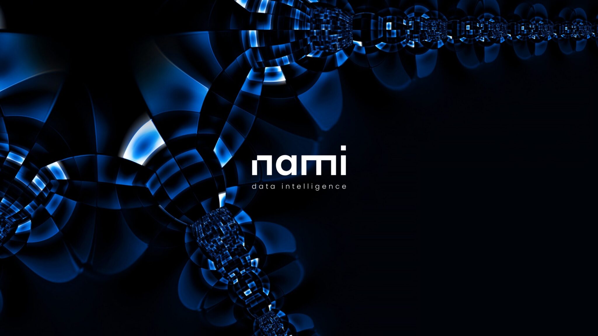 Nami – Data Intelligence